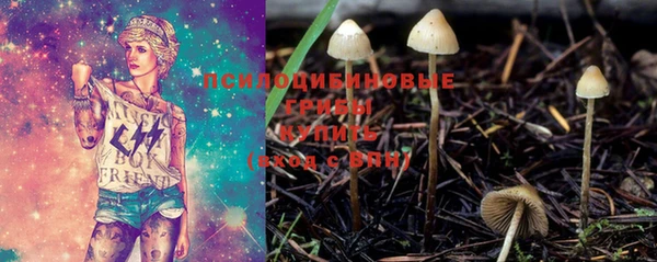 Альфа ПВП Бронницы